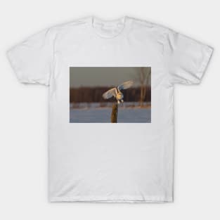 Snowy Owl taking off T-Shirt